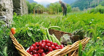 El rincón vegetariano