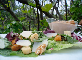Panes y ensaladas